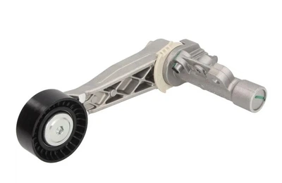 Натяжитель ремня Dayco (APV2465)