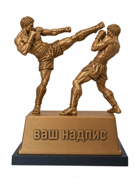 Кубок нагорода статуетка трофей для кікбоксингу на турнір та змагання