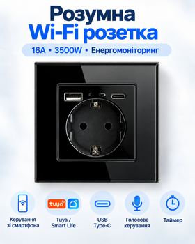 Розумна вбудована Wi-Fi розетка 16A 3500W з енергомоніторингом USB + Type-C керуванням зі смартфона Tuya / Smart Life Чорний (RR104EM)