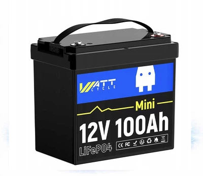 Акумулятор LiFePO4 WattCycle MINI 12V 100Ah BT IP65 батарея з BMS 100A