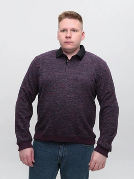 Поло мужское бордовое с длинным рукавом 5404-05 2XL