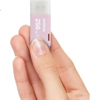 Флеш пам'ять USB KIOXIA TransMemory U301 256GB USB 3.2 Gen1 Pink (LU301B256GC4)