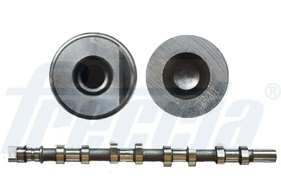 Вал розподільчий FRECCIA CM05-2165 Opel Vivaro, Movano; Renault Laguna, Espace, Trafic, Master; Nissan Primastar 8200019181, 4506071