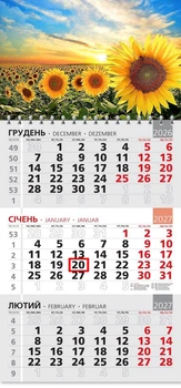 Календар настінний 2027 офісний 3. Соняхи