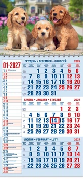 Календар настінний 2027 офісний 1. Кокер Спаніель