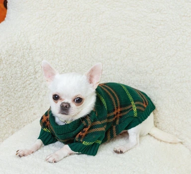 Светр Dogsbomba в'язаний Burberry смарагд Y-366 розмір 6 (2000000080383)