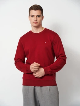 Свитшот мужской Tommy Hilfiger 11832 XL Бордо (smt2000000051178)
