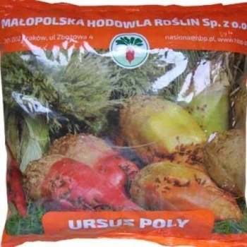 Кормовий буряк Урсус Полі 1 кг Malopolska Hodowla, Польща