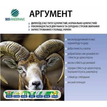 Цукровий буряк Аргумент 1 кг