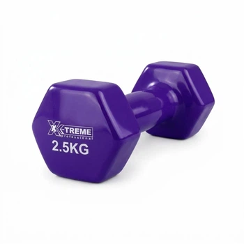 Гантелі для фітнесу X-TREME XTDBH-2.5P вінілові цільні 2,5 кг фіолетова