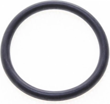Уплотнительное кольцо Opel (55582541)