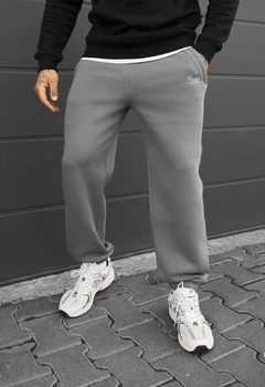 Брюки мужские спортивные стаф серые с логотипом флисовые Staff pul gray logo XL (406271)