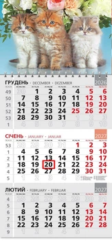 Календар настінний 2027 офісний 3. Тріо котиків та букет квітів