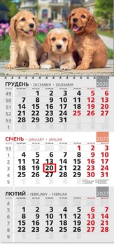 Календар настінний 2027 офісний 3. Кокер Спаніель