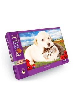 Пазли Danko Toys 2000 елементів "Friendship" (C2000-01-09/Г17)