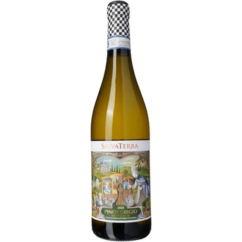 Вино Італія біле сухе SalvaTerra Pinot Grigio delle Venezie DOC, 0.75 л