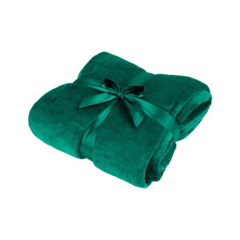 Плед полярний 200x220 см Teesa Green (TSA8902-2)