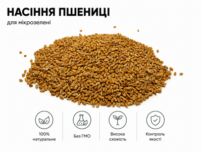 Насіння пшениці для мікрозелені 1кг