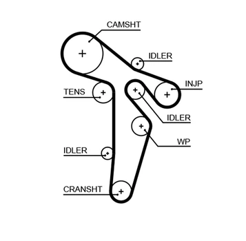 Ремінь ГРМ Caddy III/Crafter/T5 1.6/2.0TDI 10- - GATES (5649XS)