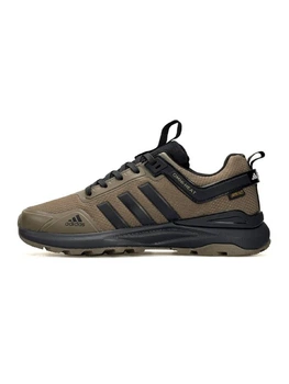 Чоловічі кросівки Adidas Terrex GTX Brown Black 44