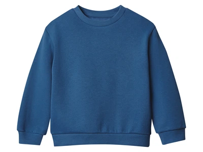 Свитшот с начесом для мальчика Lupilu LIDL 487500 098-104 см (2-4 years) Синий