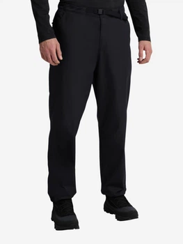Штаны мужские Jack Wolfskin Mahani Winter Pants M A66215_6000 54 Черные (4064886751780)