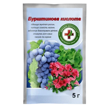 Бурштинова кислота 5 г