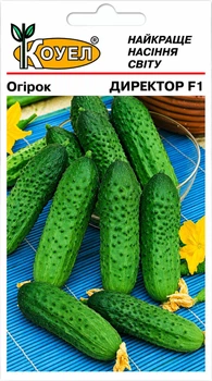 Огурец Директор F1 Коуел 10 шт