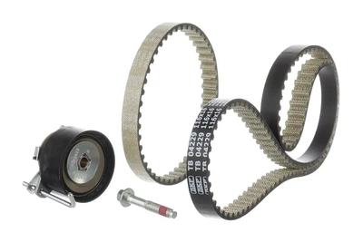 Комплект ГРМ (ремінь + ролик) SKF VKMA042292 Ford Focus, Fiesta, Ecosport 1760648, 1765052, 1807611
