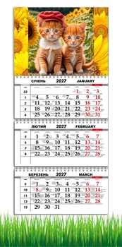 Календарь настенный квартальный на 2027 год на три пружины, Apriori , Котики , Рыжий Кот, Подсолнухи , 29,7х61см , 4 вид