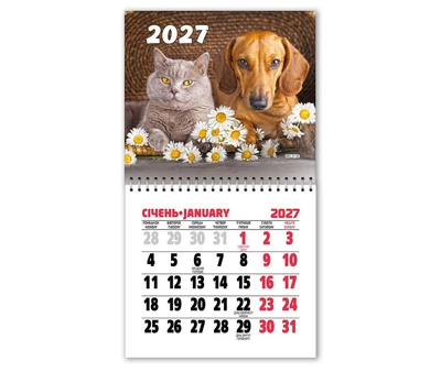 Календарь на магните MKL27-30 2027г. ЕУ Кот и собака