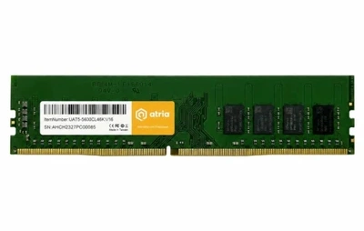 Память 8Gb DDR5, 5600 MHz, Atria (2000003653638)