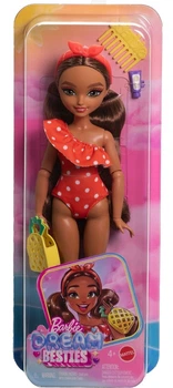 Lalka Barbie Dream Besties Teresa z akcesoriami (JGH82/JGH85) (0194735314515)