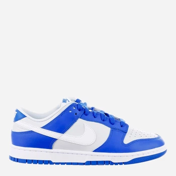 Мужские кеды кожаные низкие Nike Dunk Low SC FN3416-001 44.5 (10.5US) 28.5 см (196608404187)