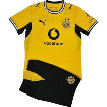 Футбольная форма Боруссия Дортмунд (Borussia Dortmund) 2026-2027 домашняя желто-черная XL F0657