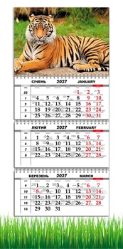 Календар настінний квартальний на 2027 рік на три пружини , Apriori , Тигр, Природа , Тварини , 29,7х61см
