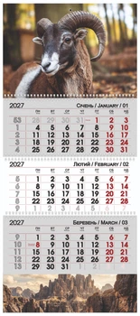 Календарь квартальный настенный на 2027 год на 3 пружины Символ года 2 (13796)