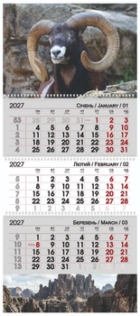 Календарь квартальный настенный на 2027 год на 3 пружины Символ года 1 (13795)