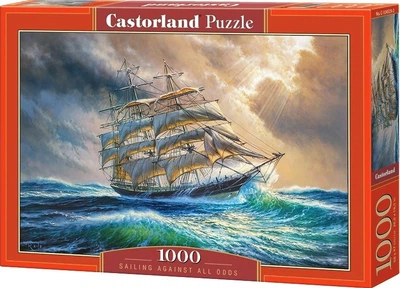 Puzzle Castorland Sztorm 1000 elementów (5904438104529)