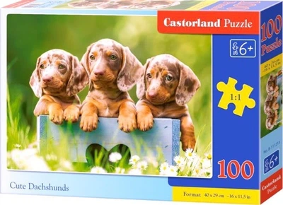 Puzzle Castorland Urocze jamniki 100 elementów (5904438111213)