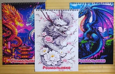 Раскраска Драконы Dragons А4 набор 3 шт (41194)