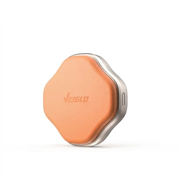 SSD диск VEIGLO P2 500GB Type-C External Orange