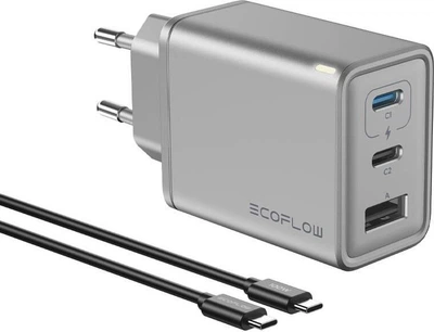 Ładowarka sieciowa EcoFlow GaN RAPID 65 W EFA-65W-GAN-CHARGER (4895251622905)