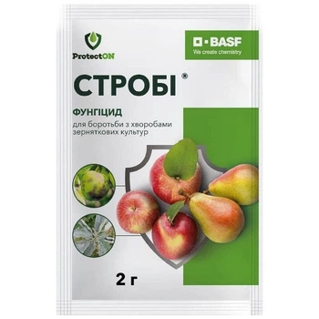 Фунгіцид Стробі, 2 г, ProtectON