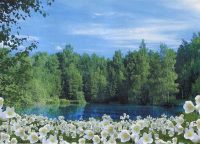 Фотообои Цветочный берег бумага ArtDecor 194x134 см