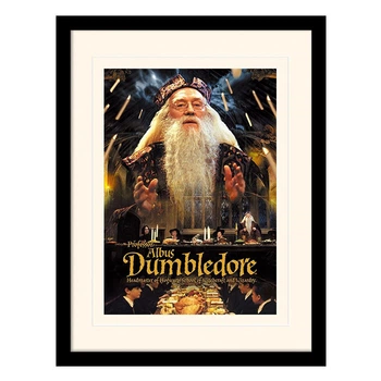 Постер у рамі "Harry Potter (Dumbledore)" 30 x 40 см