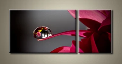 Модульная картина на холсте Holst Art из 2-х частей Капля на лепестке 54х125 см
