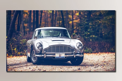 Картина на холсте Holst Art Автомобиль 007 30,5х54 см