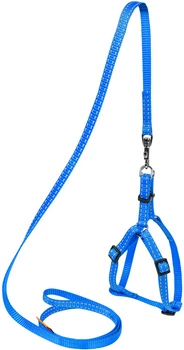 Шлея "Dog Extreme" нейлон. регул. с поводком (ш. 15мм, В:40-55см), Голубой (07032)