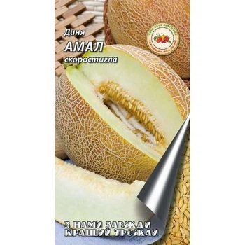Семена Кращий урожай Дыня "Амал" м 1г